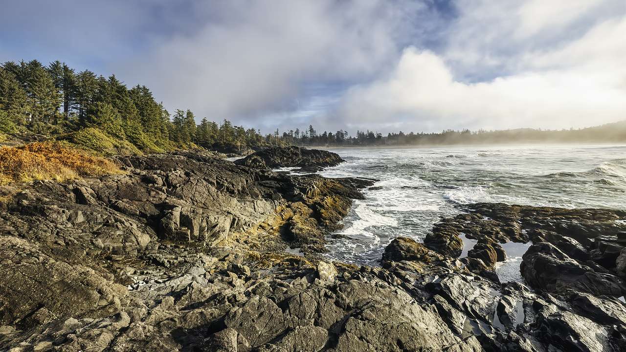 A rocky shore with trees and a foamy body of water under cloudy skies