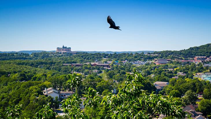 A black crow flying over lush green foliage and a town below