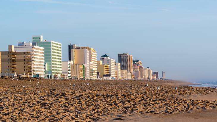 An early morning cast on a sandy shoreline with tall buildings at the back