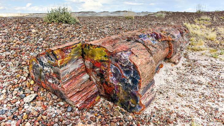 A colored petrified wood log resting on stones in a vast dry landscape