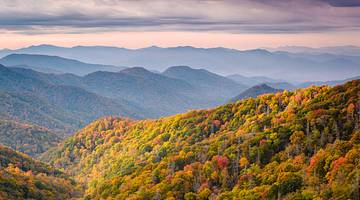 A valley landscape with trees and mountains in the background