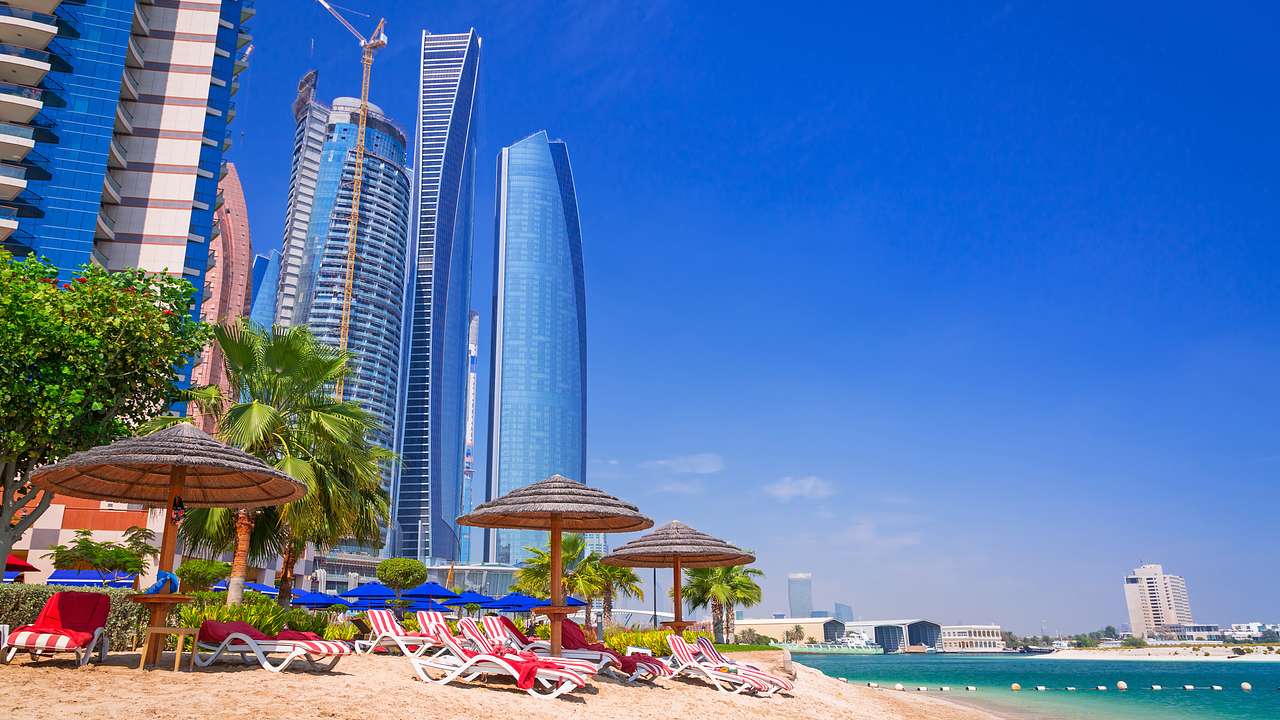 A skyline of tall modern skyscrapers overlooking green palm trees and a beach