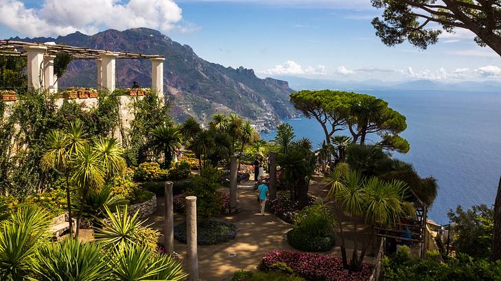 Beautiful manicured gardens at a view point overlooking steep cliffs and a blue ocean