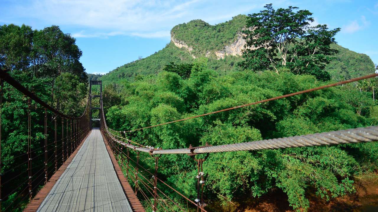 A modern suspension bridge of metal hung high above the treetops of a rainforest