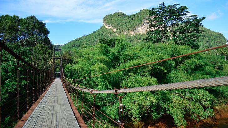 A modern suspension bridge of metal hung high above the treetops of a rainforest