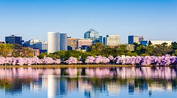 A city skyline with buildings and pink and green trees in front reflected in water