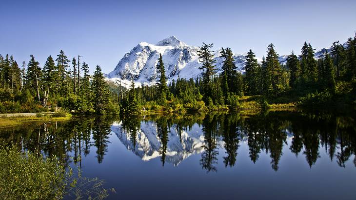 A still lake lined by tall evergreen trees with a snow-capped peak at the back