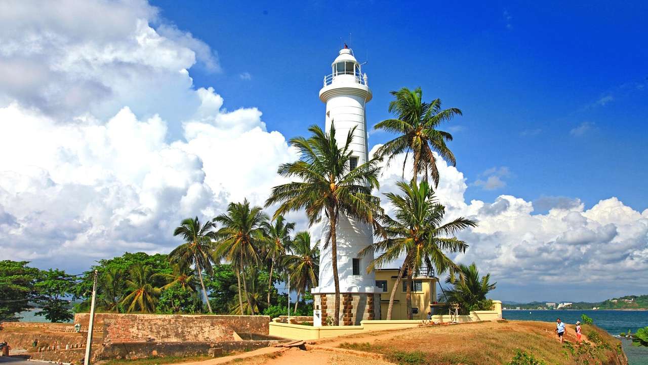 A bay with palm trees against a white lighthouse
